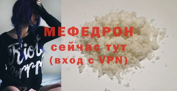 spice Богородск