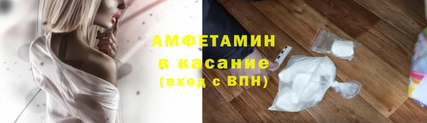 spice Богородск
