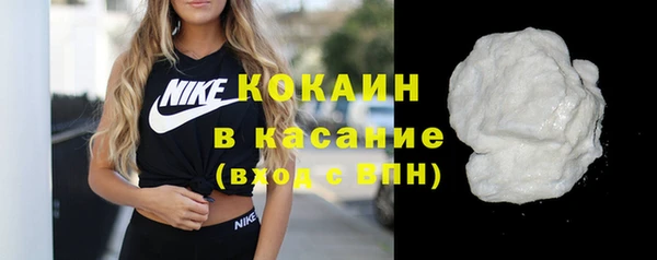 spice Богородск