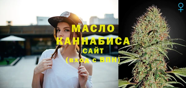 spice Богородск
