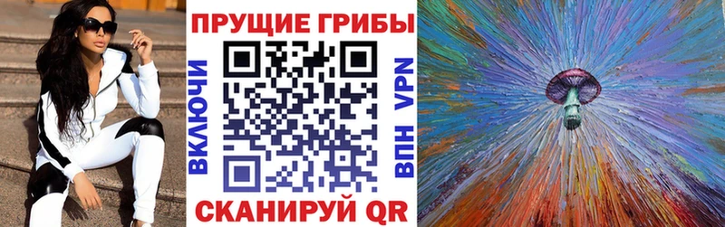 Купить  Суворов  Галлюциногенные грибы Psilocybe 